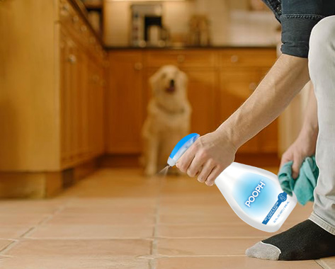 A person spraying Pooph&reg; on the kitchen floor while a dog nearby is watching